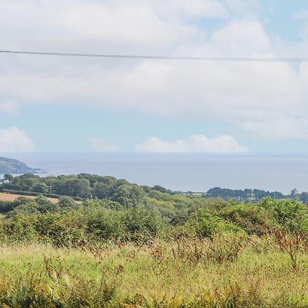 Sebright Villa St Austell Bagian luar foto